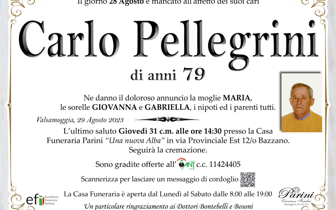 Carlo Pellegrini
