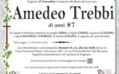 Amedeo Trebbi