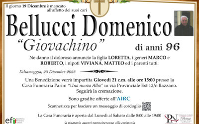 Domenico Bellucci