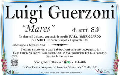 Luigi Guerzoni