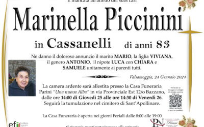 Marinella Piccinini