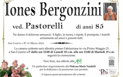 Iones Bergonzini