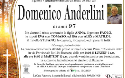Domenico Anderlini