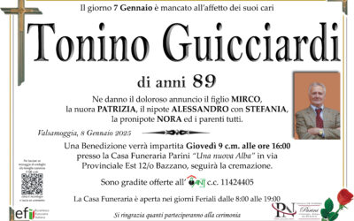 Tonino Guicciardi