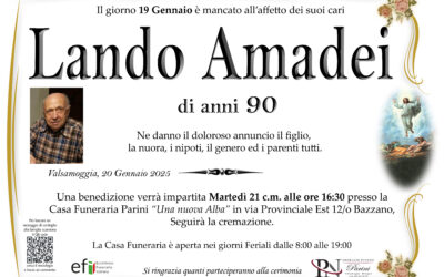 Lando Amadei