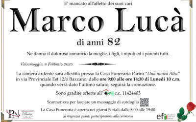 Marco Lucà
