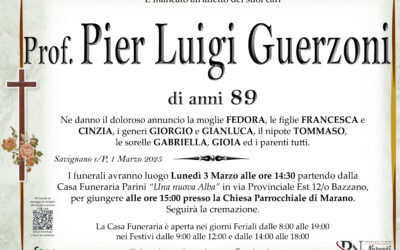 Pier Luigi Guerzoni
