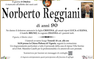 Norberto Reggiani