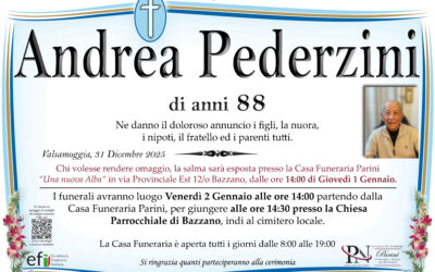 Andrea Pederzini