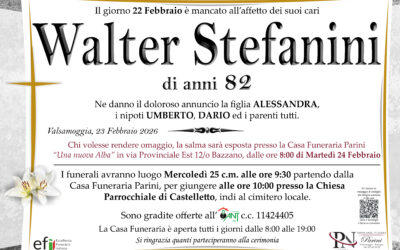 Walter Stefanini
