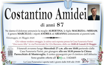 Costantino Amidei